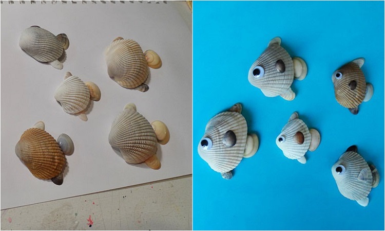 animaux marins bricolage poissons coquillages