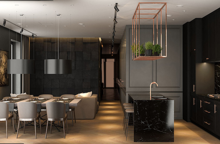 appartement sombre moderne petite cuisine noire ilot central rangement suspendu cuivre herbes aromatiques pots