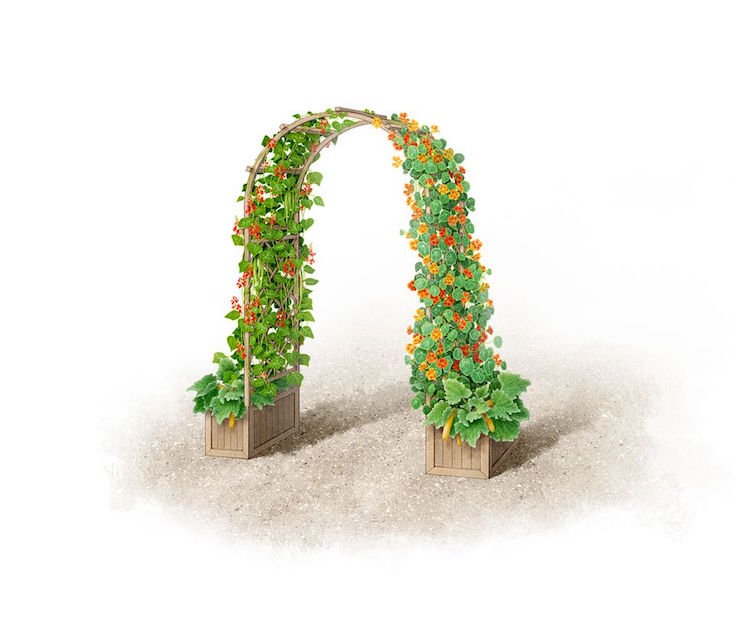 arche de jardin avec bacs fleurs integres