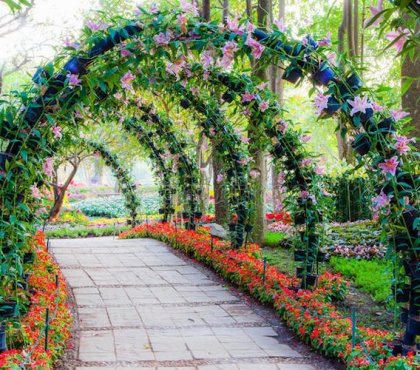 arches de jardin plantes grimpantes fleurs allee pietonne