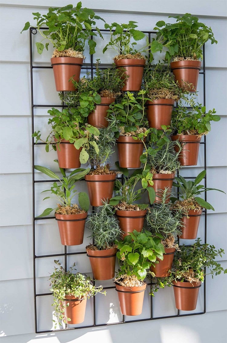 jardin potager vertical légumes pots conseils réalisation