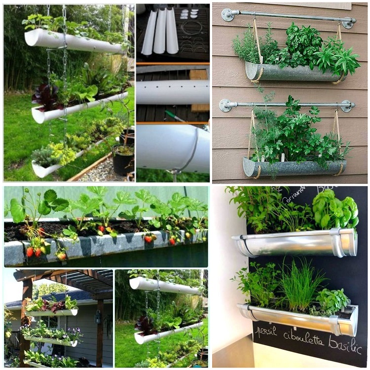 jardin potager vertical utilisant gouttières idée DIY innovante récup