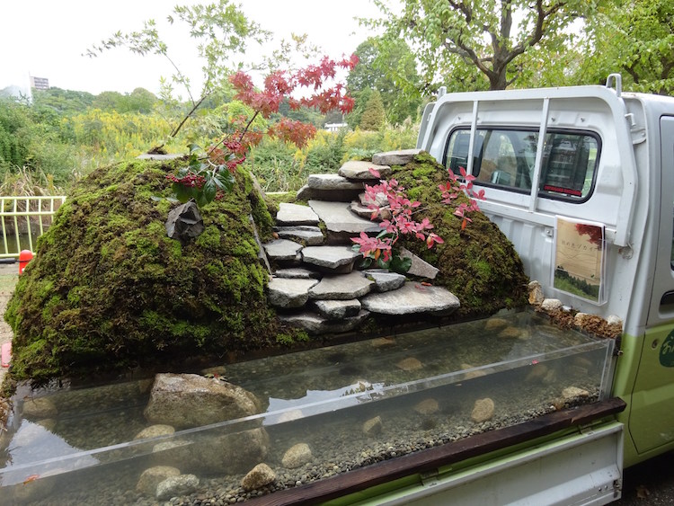 petit jardin japonais arriere camion petit bassin carpes koi