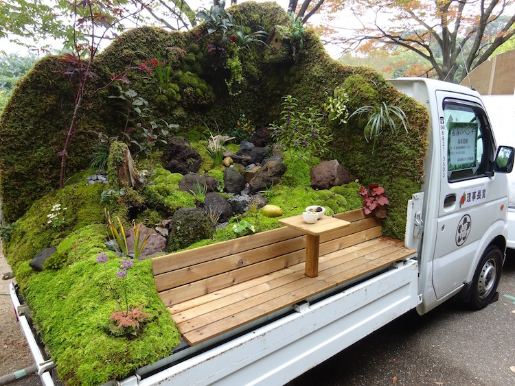 petit jardin japonais arriere camionnette mousse vegetale pierres banquette bois mini table