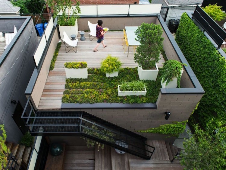 petit toit terrasse chic avec beaucoup de verdure luxuriante