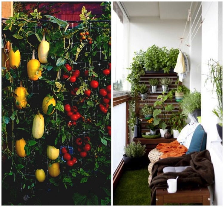 potager vertical balcon facile réaliser trucs astuces légumes