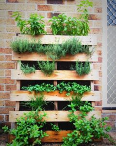 potager vertical palette idée récup DIY culture hors sol adaptée espace réduit