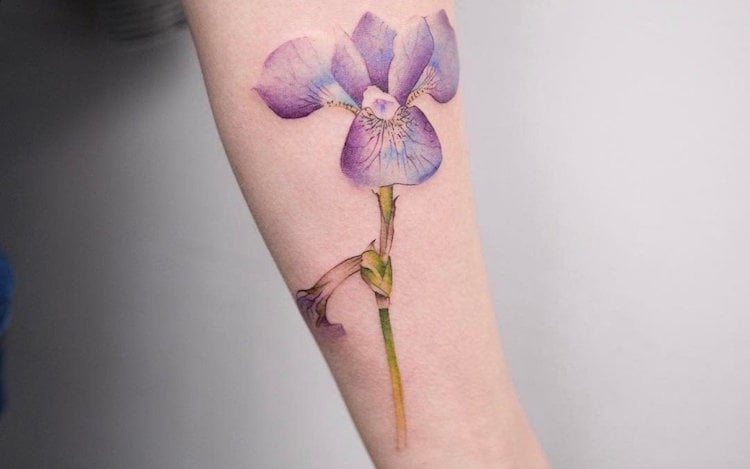 tatouage fleur iris aquarelle bras