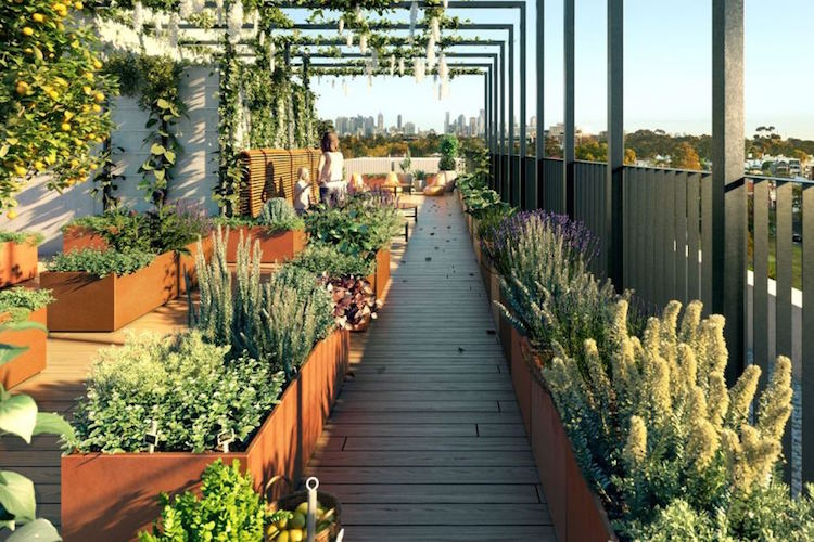 toit terrasse aménagé en jardin avec jardinières acier Corten