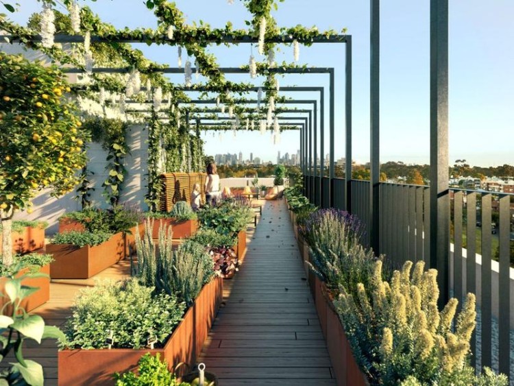 toit terrasse longue avec végétation idées design déco extérieure moderne