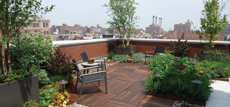 toit terrasse ouvert paysage urbain design raffiné coin salon déco plantes