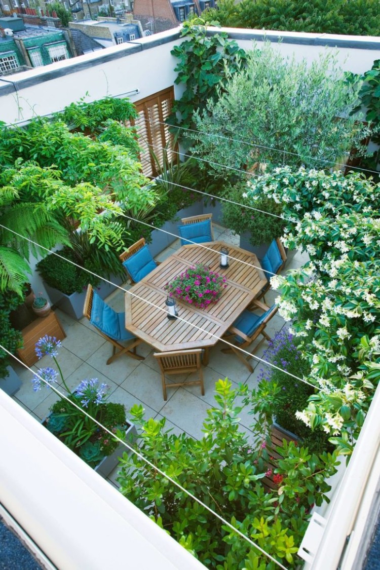 toit terrasse végétale idée déco originale plantes
