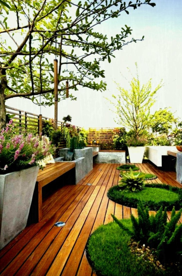 toit terrasse végétale idées déco rooftop design
