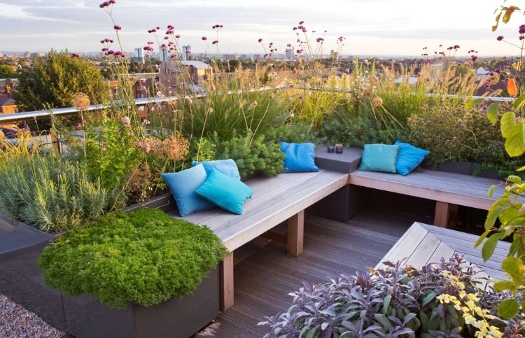 toit terrasse végétalisée touche couleur design extérieur