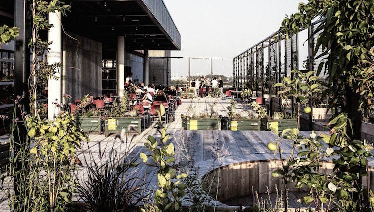 top 50 des toit terrasses en Europe- restaurant Bureau à Amsterdam