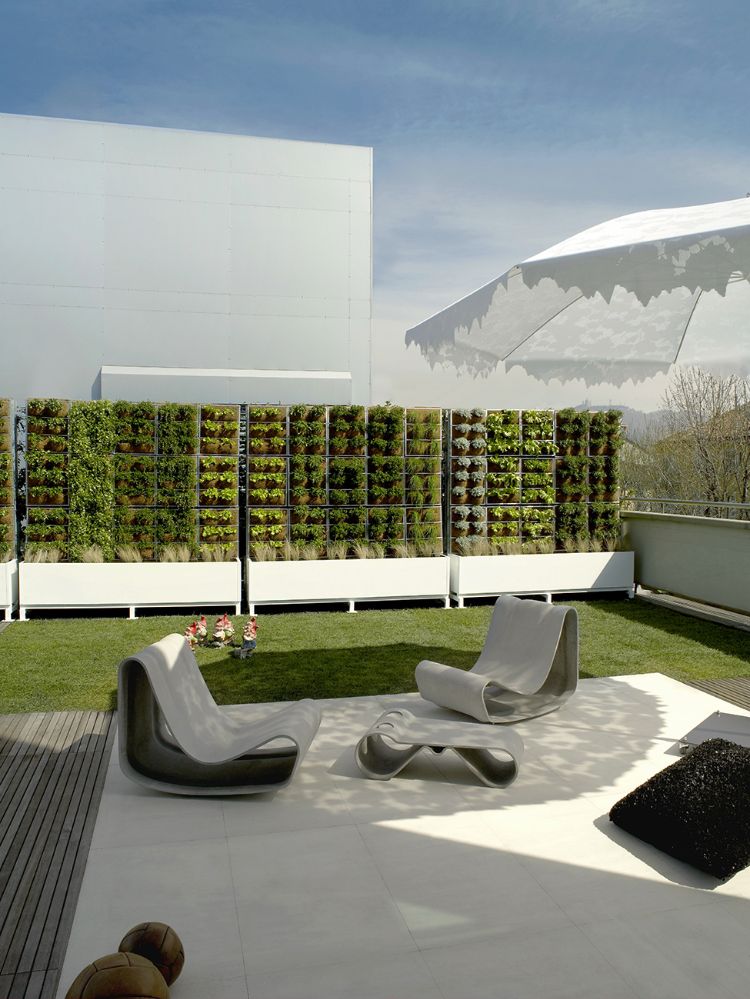 espace de vie extérieur minimaliste contemporain jardin vertical