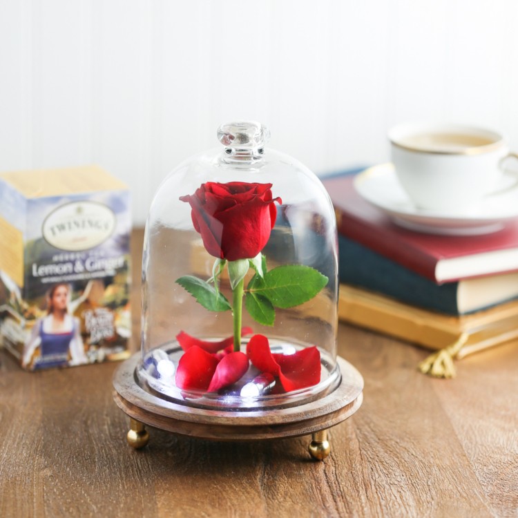 mini rose sous cloche la Belle et la Bête idée cadeau copine jour Saint Valentin