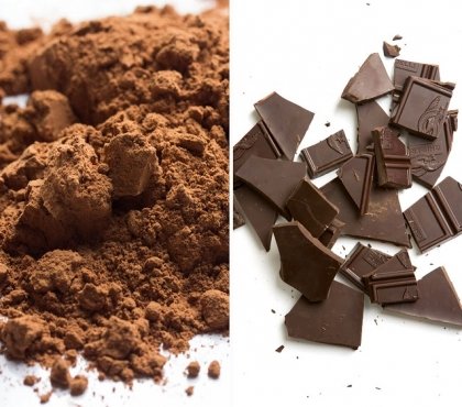 par quoi remplacer le chocolat idées astuces saines zoom top substituts sucre cacao