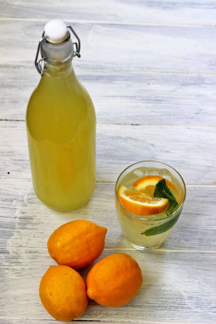 recette limonade maison orangeade facile faire soi même