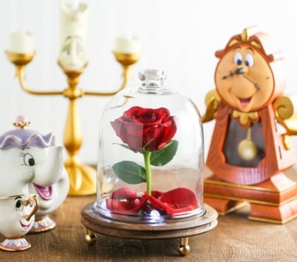 rose sous cloche la Belle et la Bête DIY conte fées préférées petits grands Disney