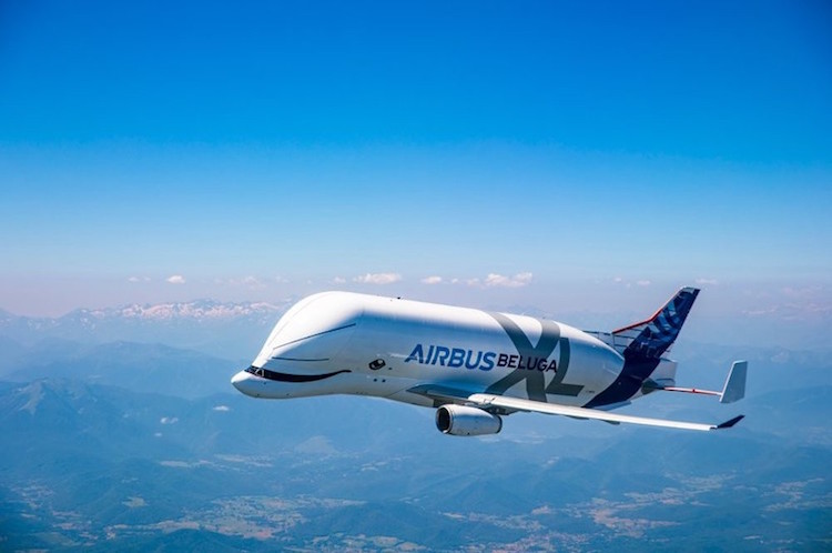 Airbus Beluga XL avion cargo design inspire baleine