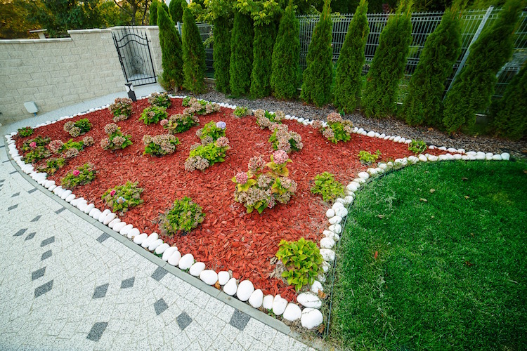 idee amenagement jardin devant maison deco galets blancs paillage decoratif hortensia thuya