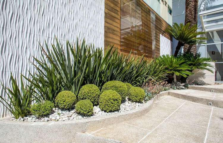 idee amenagement jardin devant maison moderne parterre buis boule plantes vertes graphiques
