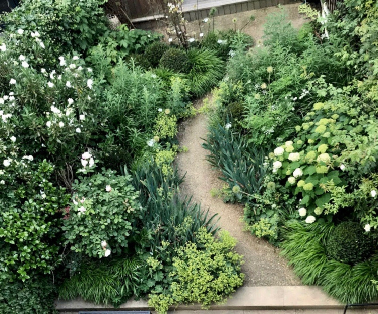 jardin blanc inspirations modernes pour arrière cour maison
