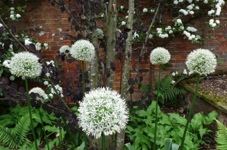 jardin blanc top astuces copier pour créer espace extérieur zen idées inspirantes pour amateurs jardinage