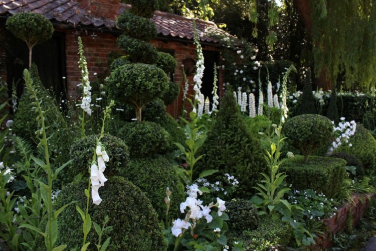 jardin blanc épuré trucs astuces aménagement choix plantes entretien