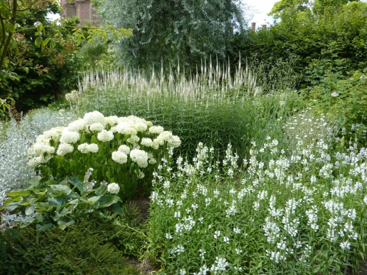 quelles fleurs privilégier pour créer jardin blanc contemporain