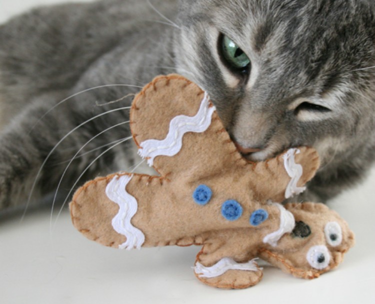 DIY jouet pour chat cookie tissu facile
