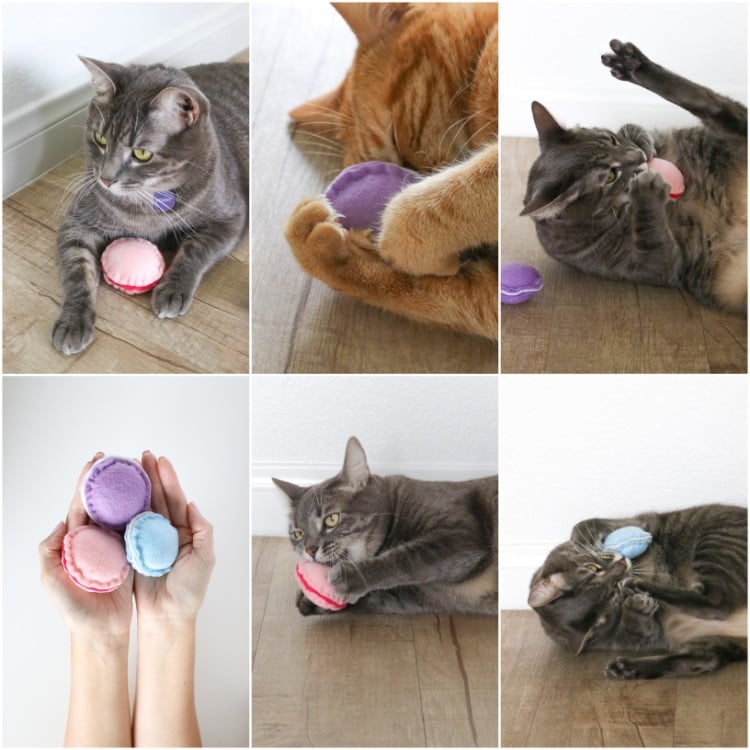 comment faire un jouet pour chat