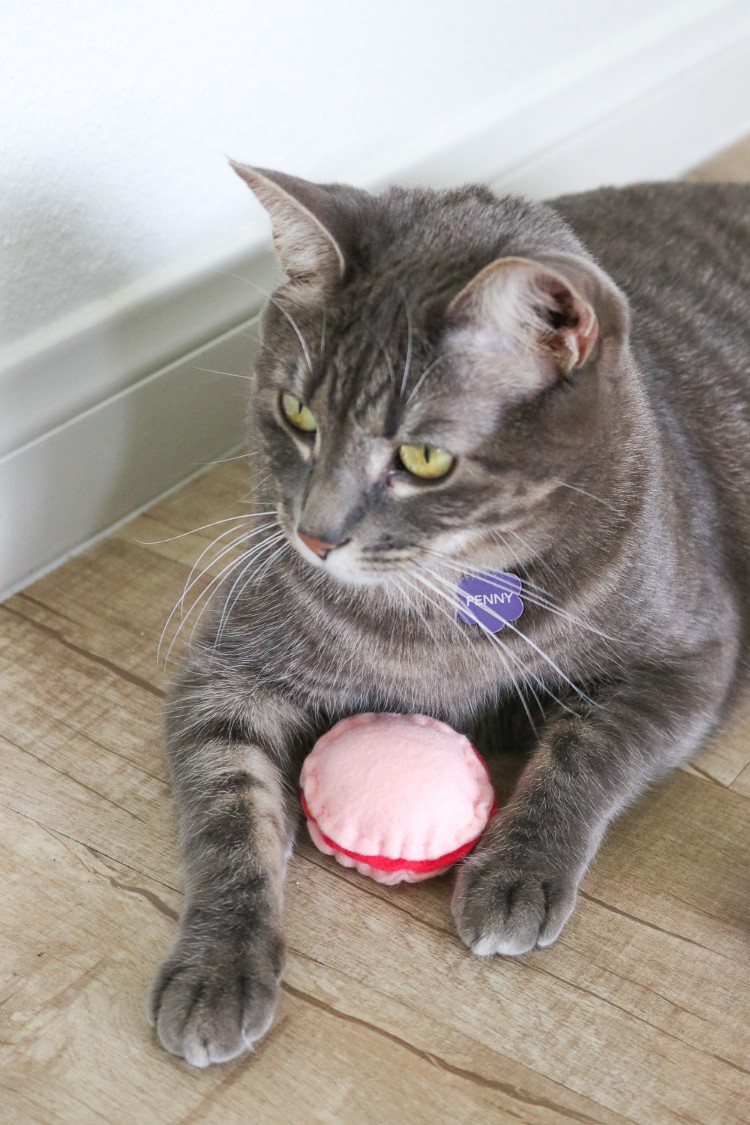 DIY jouet pour chat macaron tissu facile réaliser soi même
