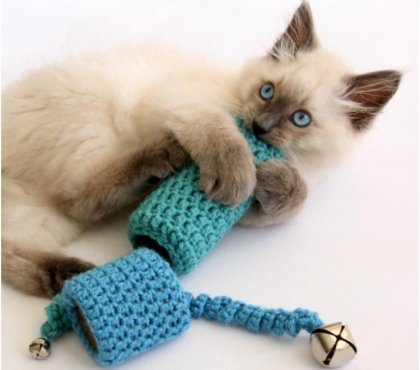 DIY jouet pour chat personnalisé fait sur mesure matériaux demeure