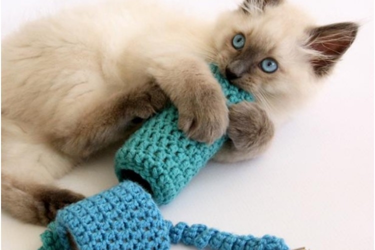 DIY jouet pour chat personnalisé fait sur mesure matériaux demeure