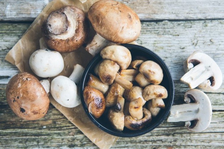 comment reconnaître un champignon comestible guide complet pour débutants