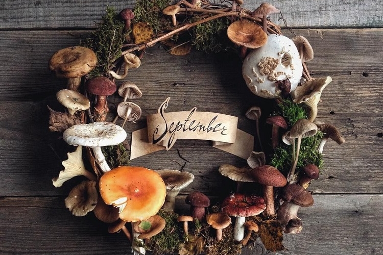 Déco avec champignons DIY originale pour accueillir l'automne!