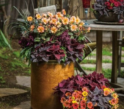 jardinière d'automne quelles fleurs choisir