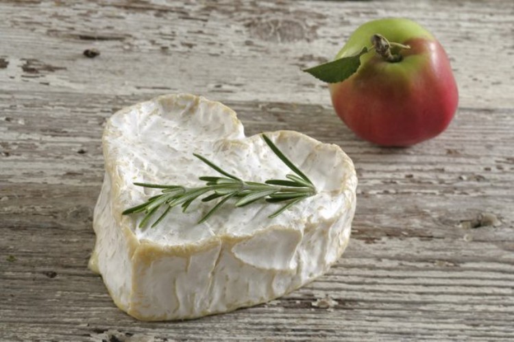 type de fromage top 10 meilleures sortes fromages consommer absolument