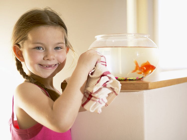 aquarium pour enfant nettoyage soins poissons