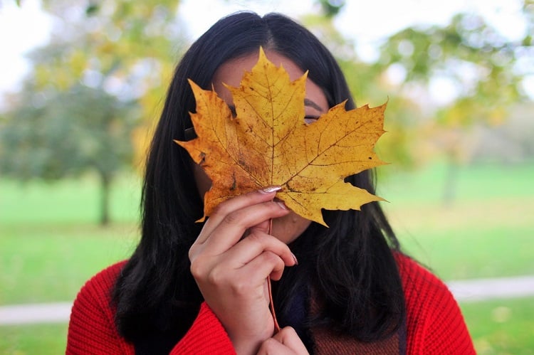 chute de cheveux automne phénomène saisonnier soins et masques