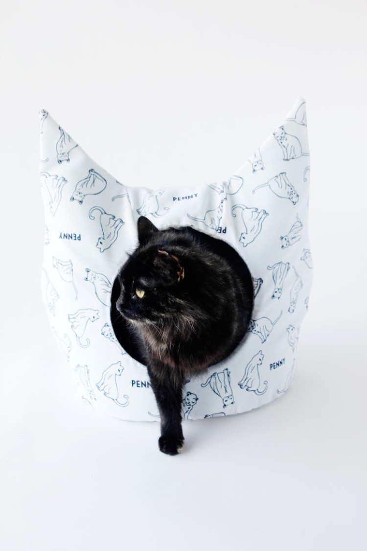 Diy Animaux Comment Fabriquer Un Lit Pour Chat Original Et Deco