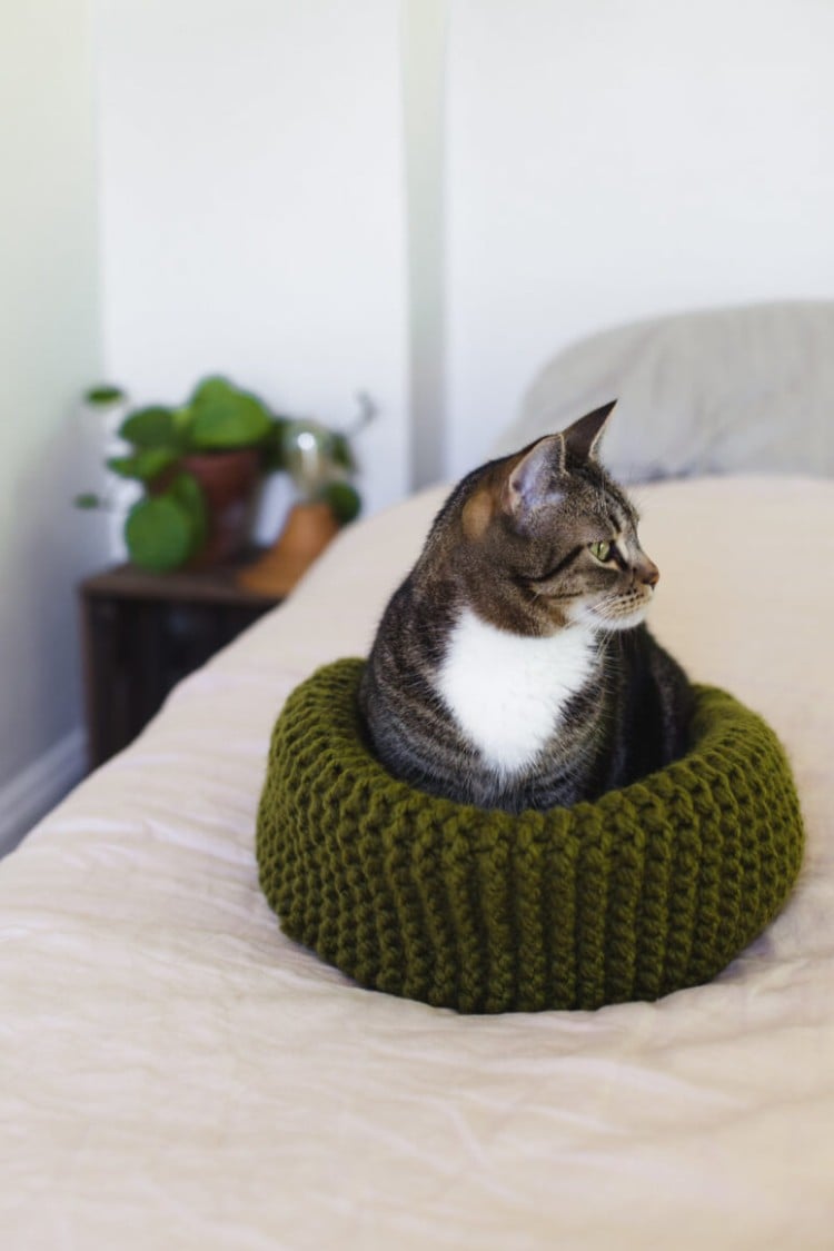 comment fabriquer un lit pour chat en tricot original facile réaliser
