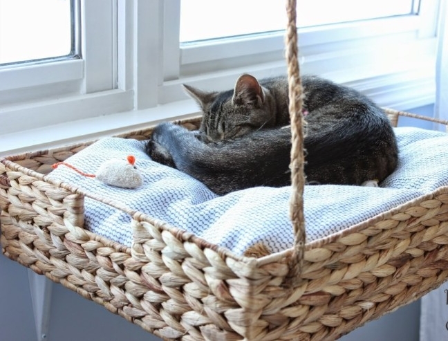 comment fabriquer un lit pour chat modèle suspendu tressé