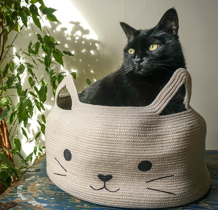 comment fabriquer un lit pour chat panier DIY original