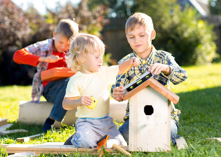 fabriquer un nichoir a oiseaux outils enfants