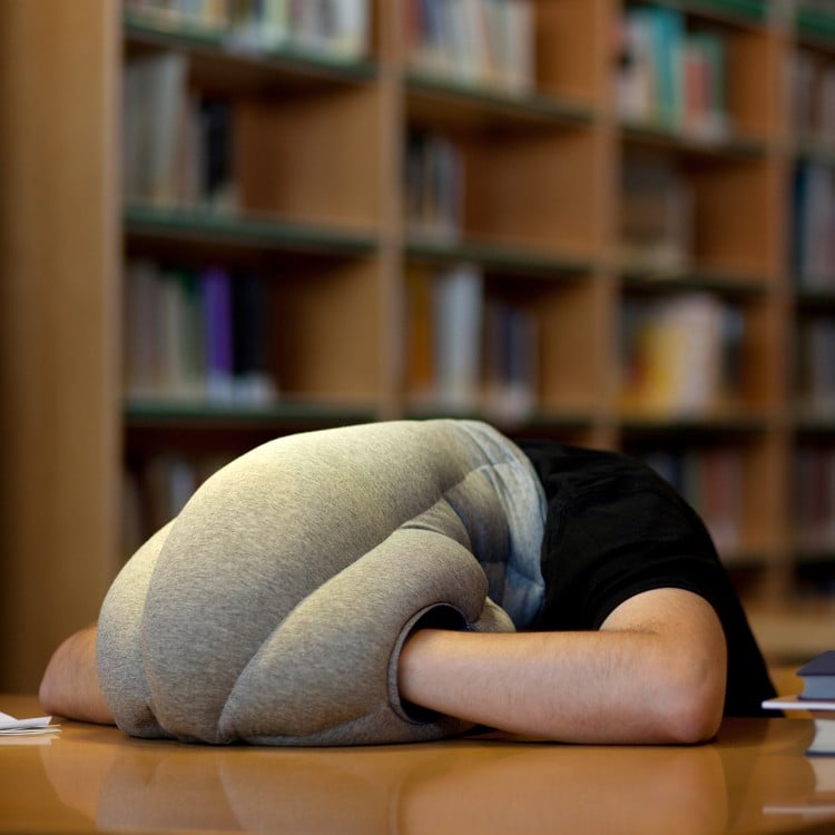 idée cadeau collègue de travail oreiller original pour faire sieste bureau
