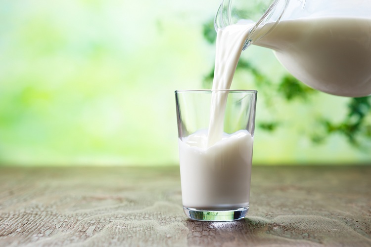 lait animal ou lait végétal bienfaits méfaits