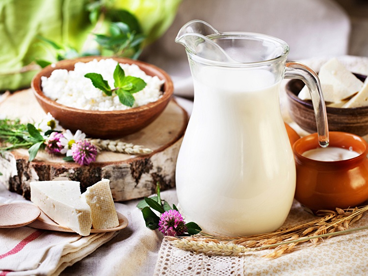 lait animal ou lait végétal comparaison bienfaits